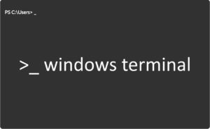 How to Install Windows Terminal in Windows 10 1 How to Install Windows Terminal in Windows 10 1